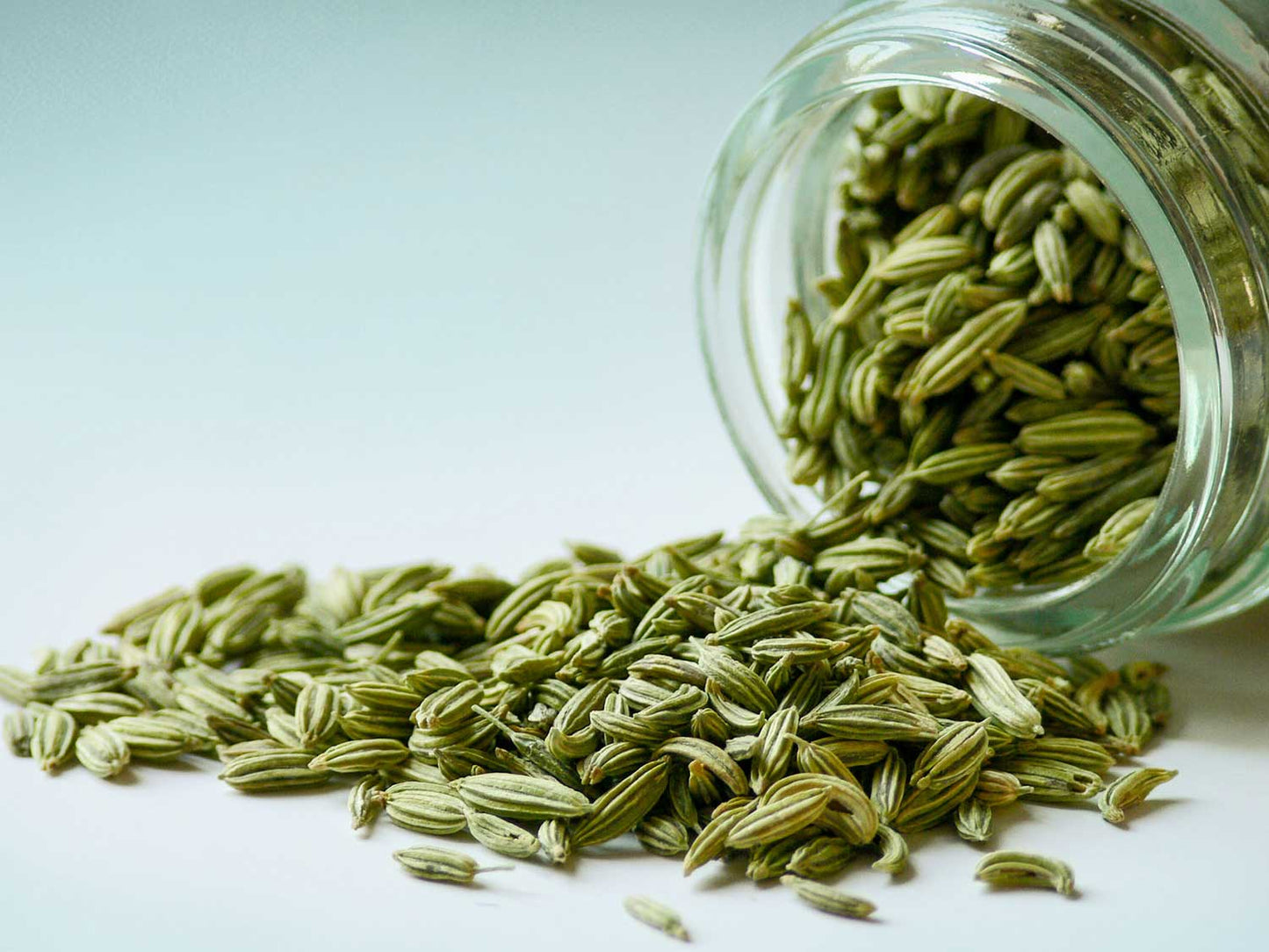 Nasiona kopru włoskiego 50g