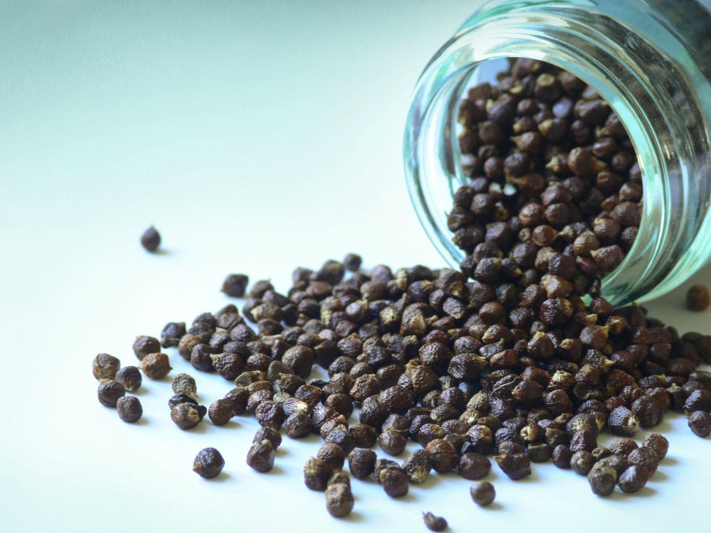 Pieprz Malagueta - Ziarna Raju 40g