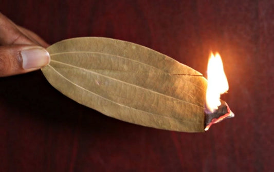 Liść laurowy jako naturalne kadzidło: Odkryj moc szlachetnego aromatu w swoim domu