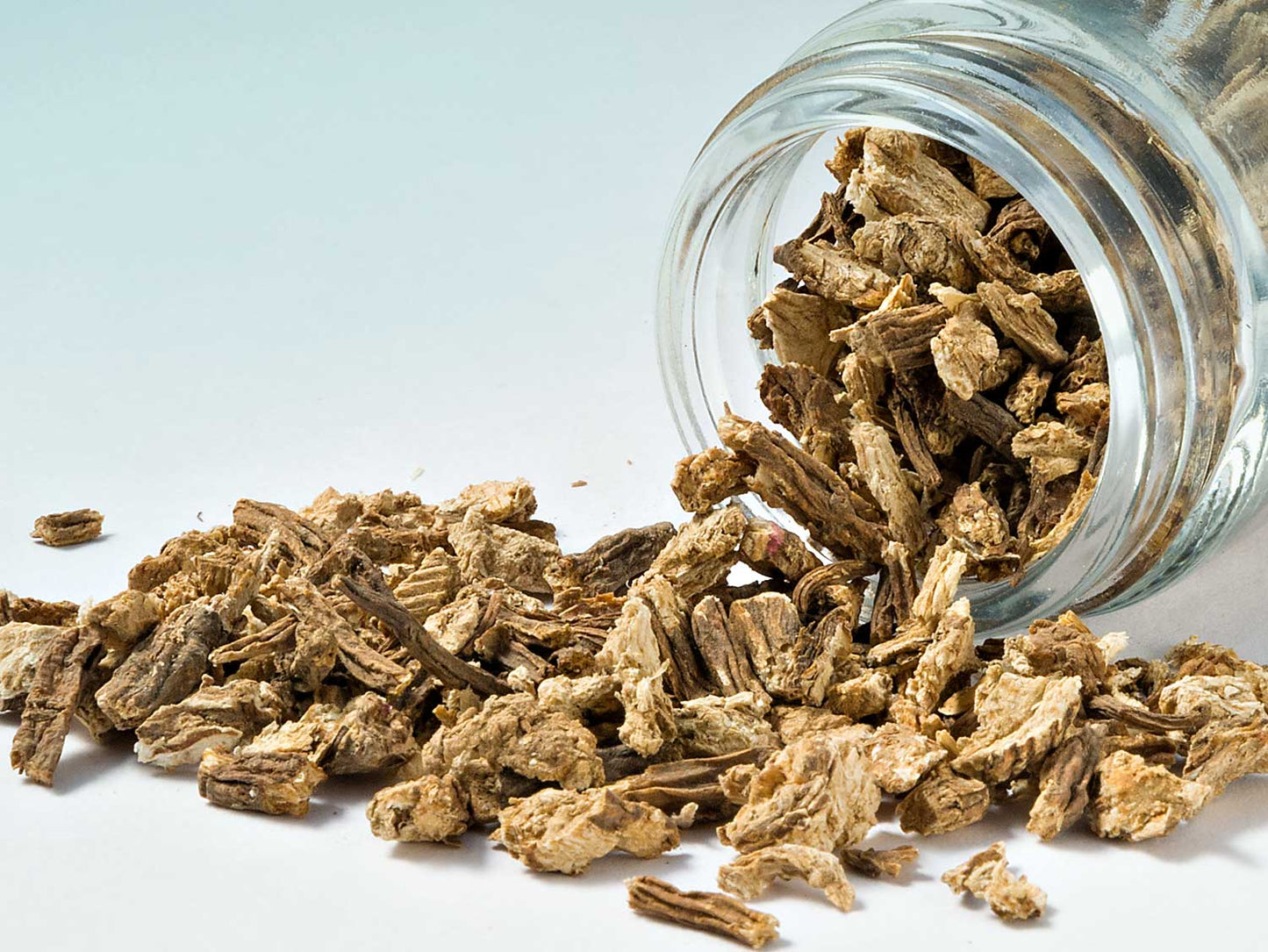 Korzeń arcydzięgla 30g