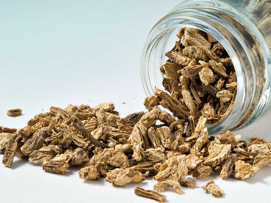 Korzeń arcydzięgla 30g