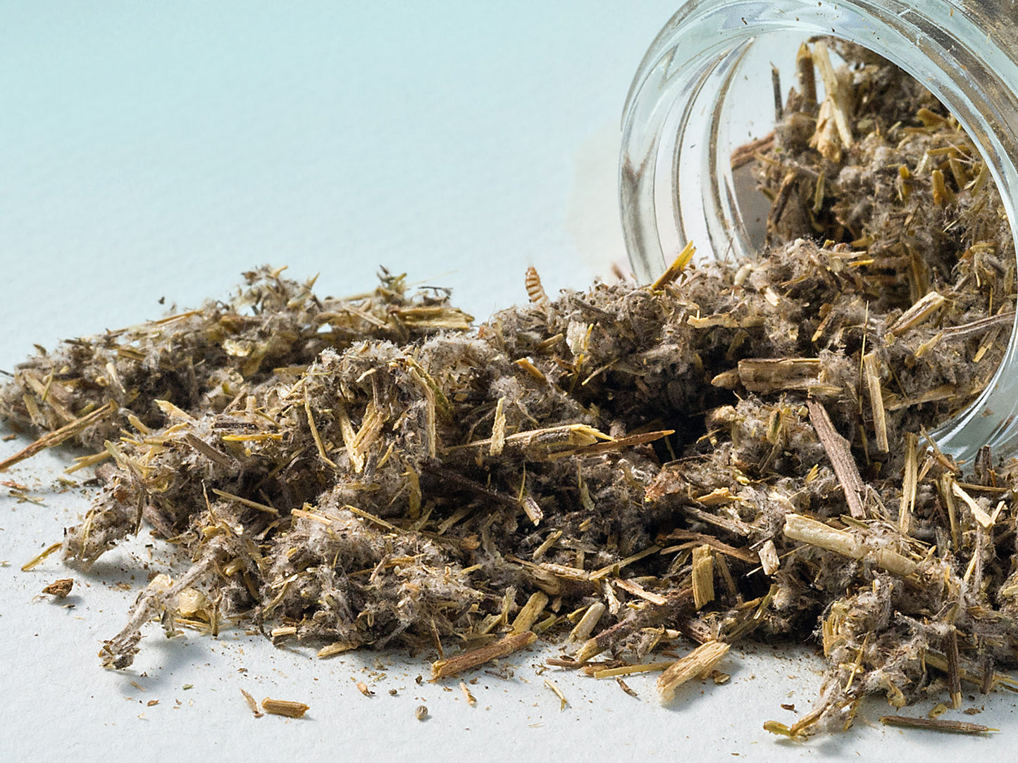 Absynt pontyjski 20g