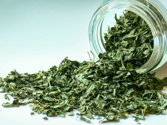 Liście kolendry 10g