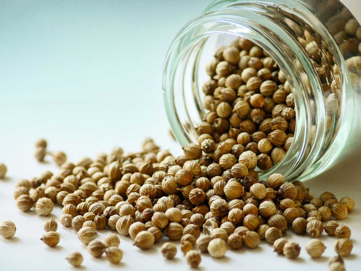 Nasiona kolendry 30g