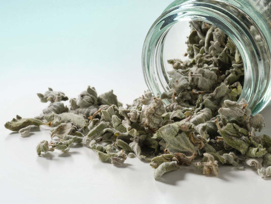 Liście Dittany Cretico 10g