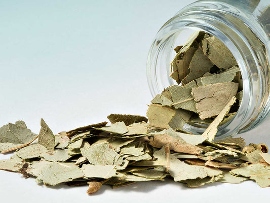 Liście Eukaliptusa 20g