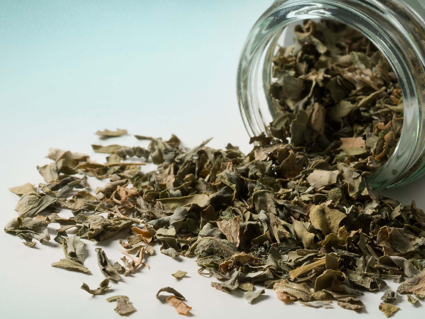 Liście Kozieradki 10g