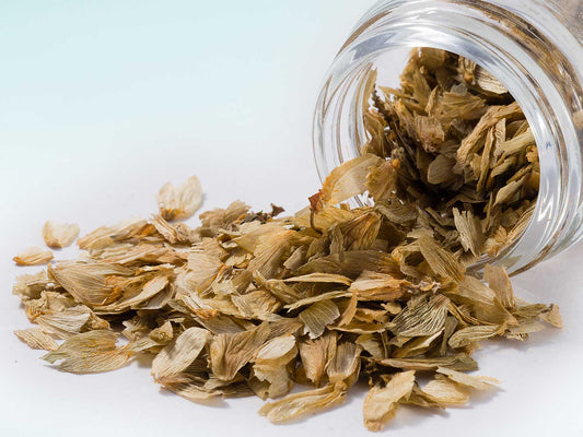 Kwiatostany Chmielu 10g