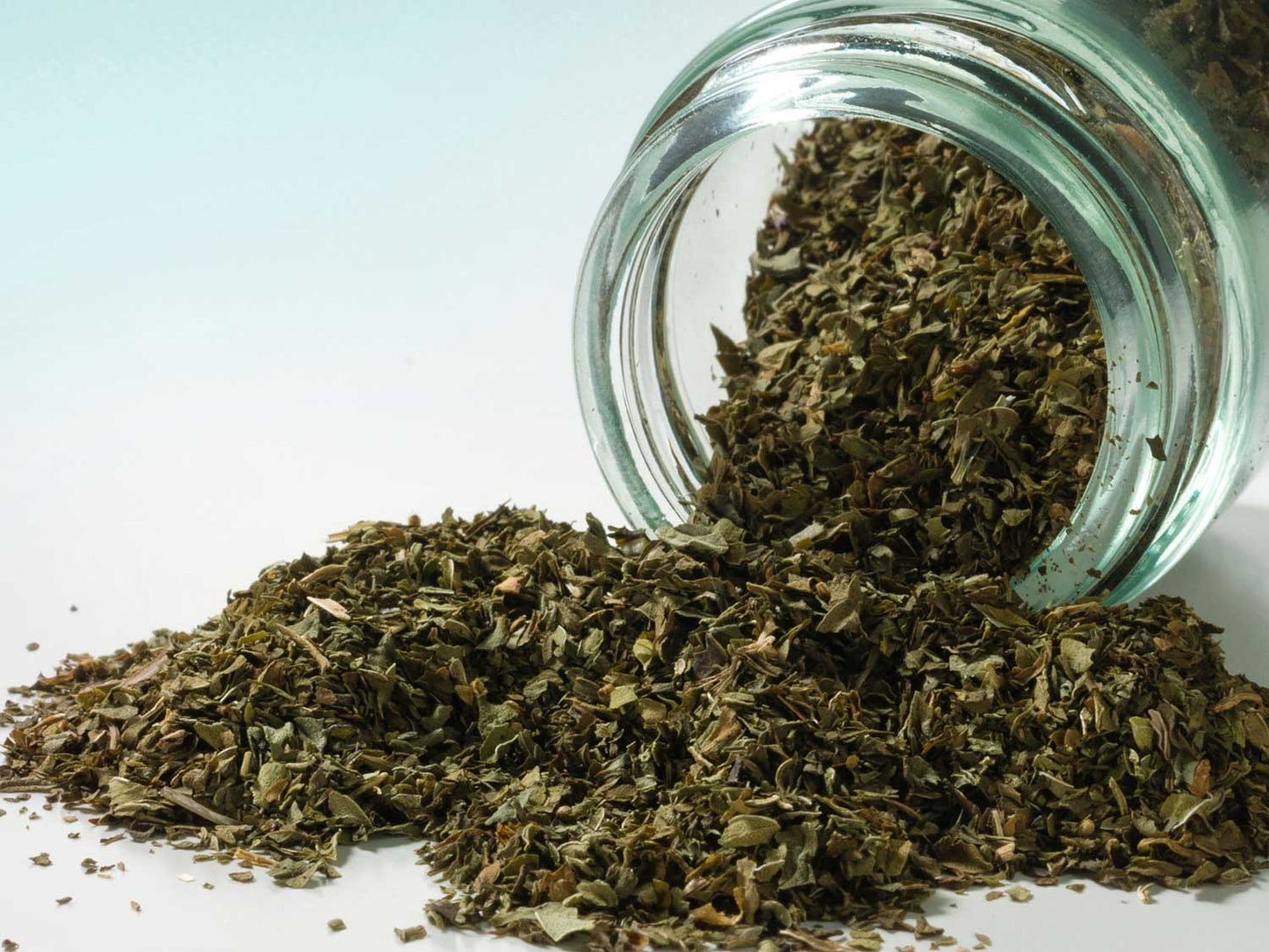 Mocna mięta pieprzowa 10g