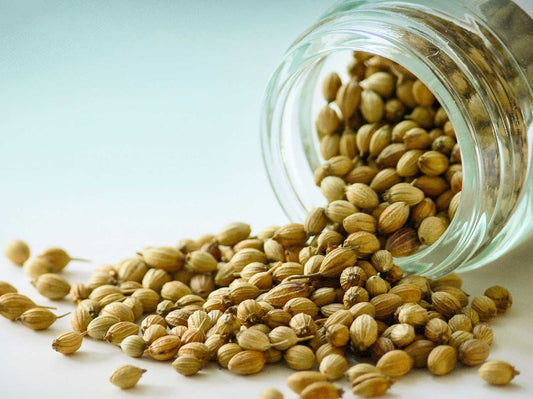 Nasiona Kolendry Odmiana Indyjska 30g