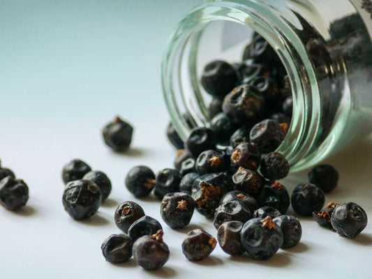 Jagody jałowca pochodzenia włoskiego 20g